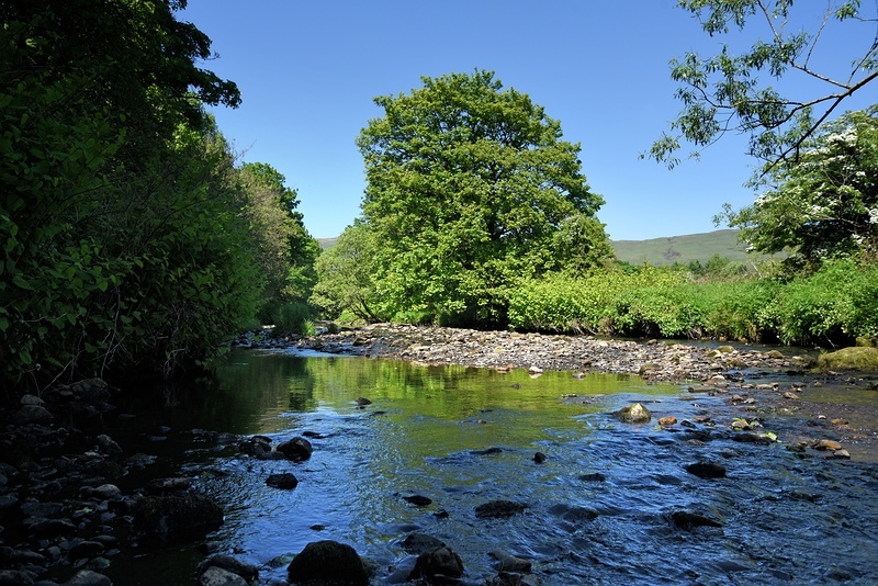 Availability for Weaver's Brae, Kirkintilloch, East Dunbartonshire