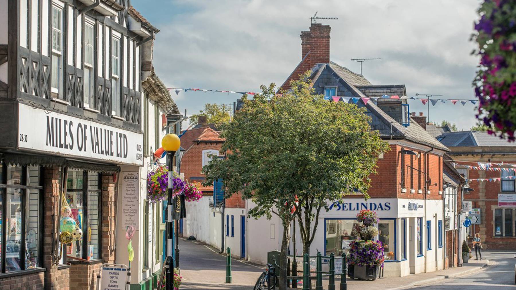 Knightwood Chase in Fordingbridge, New Forest