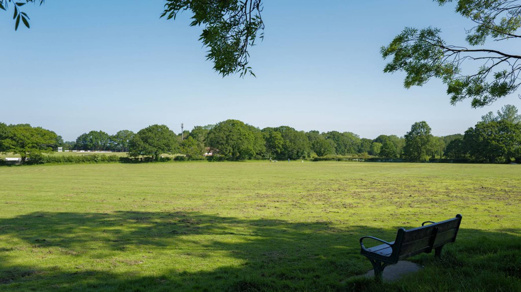 The Willows | Burridge local area