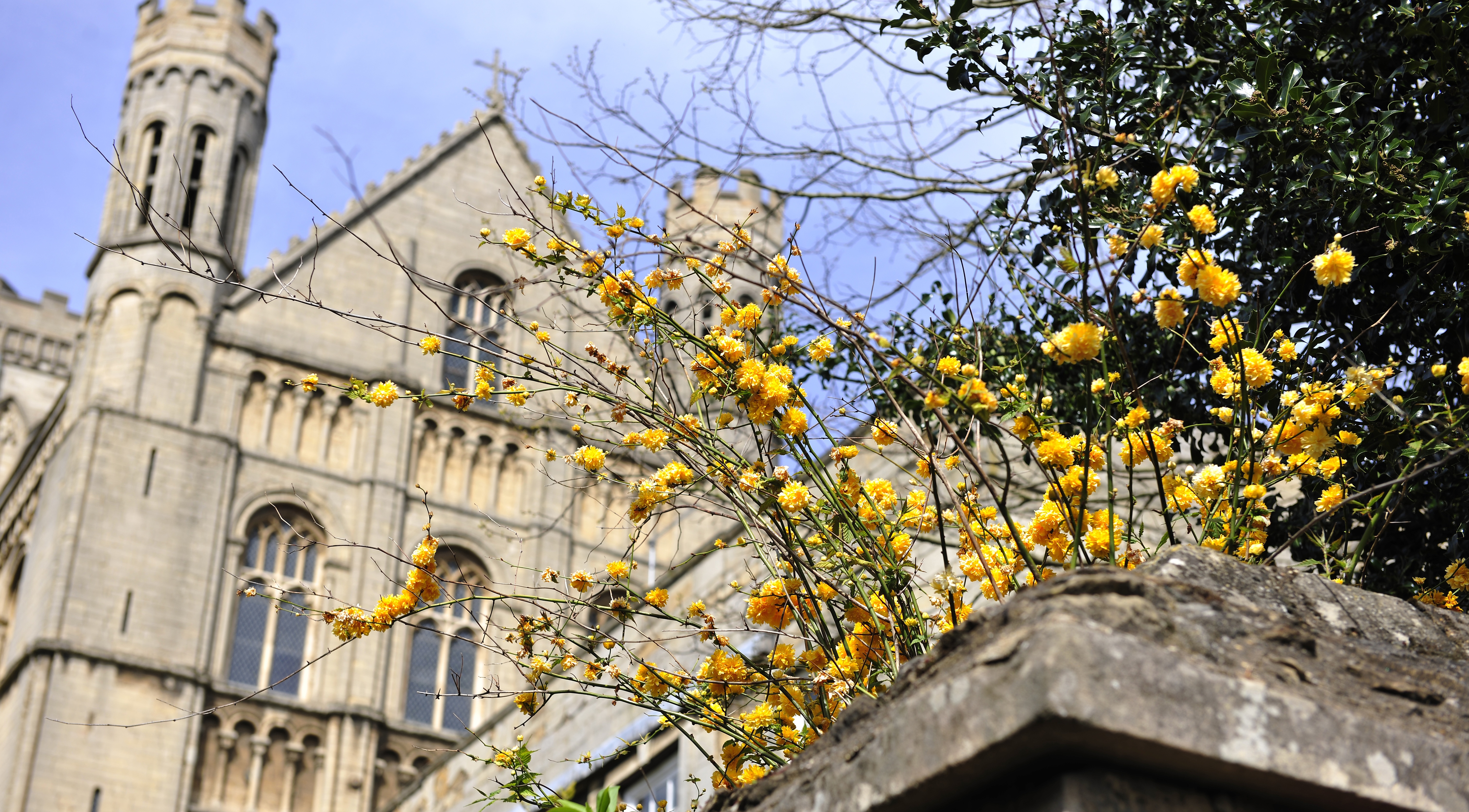 Top five things to do in Peterborough