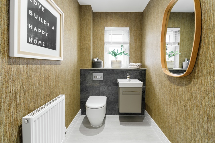 Vb1692502 Print Plot 3 Downstairs WC Zacandzac