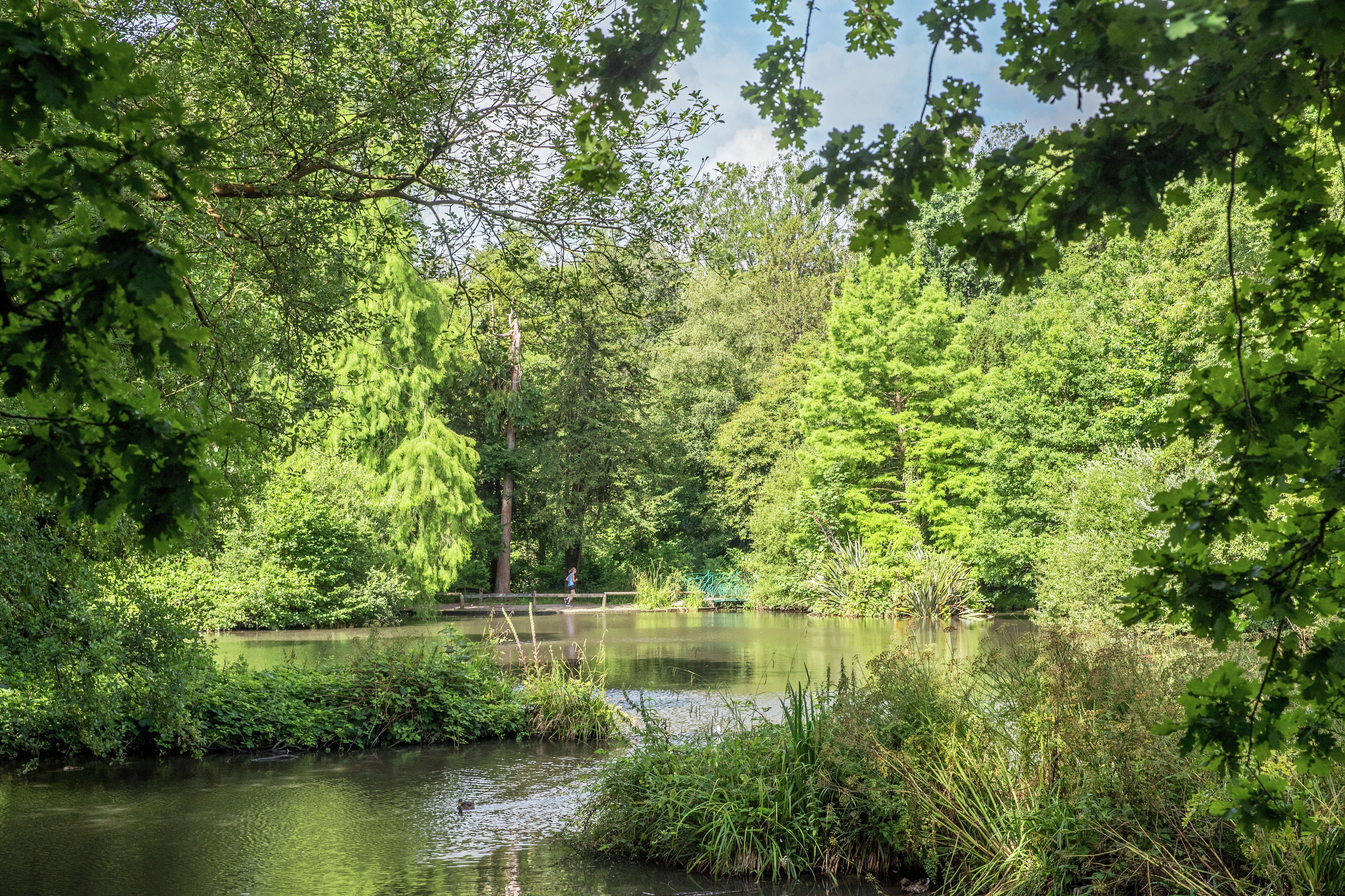 The Willows, Burridge Houses for sale in Hampshire Cala Homes