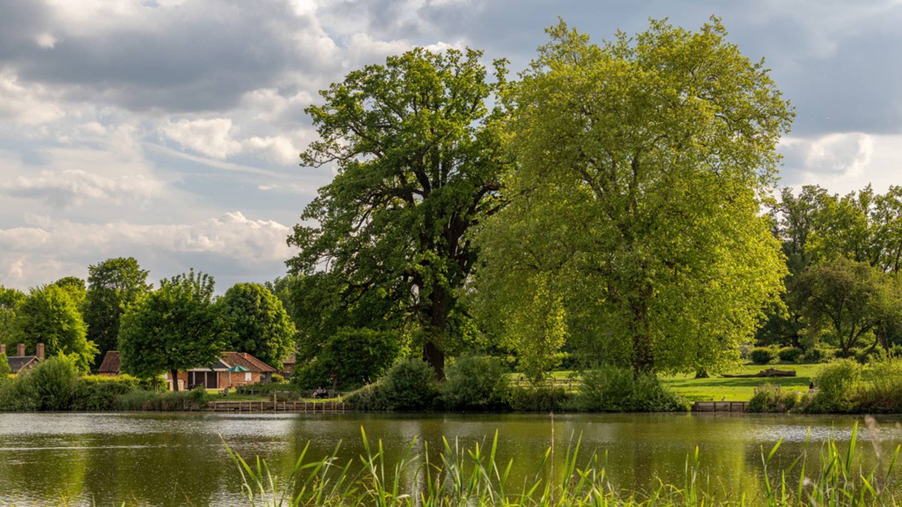 Great Dunmow Staggs Farm