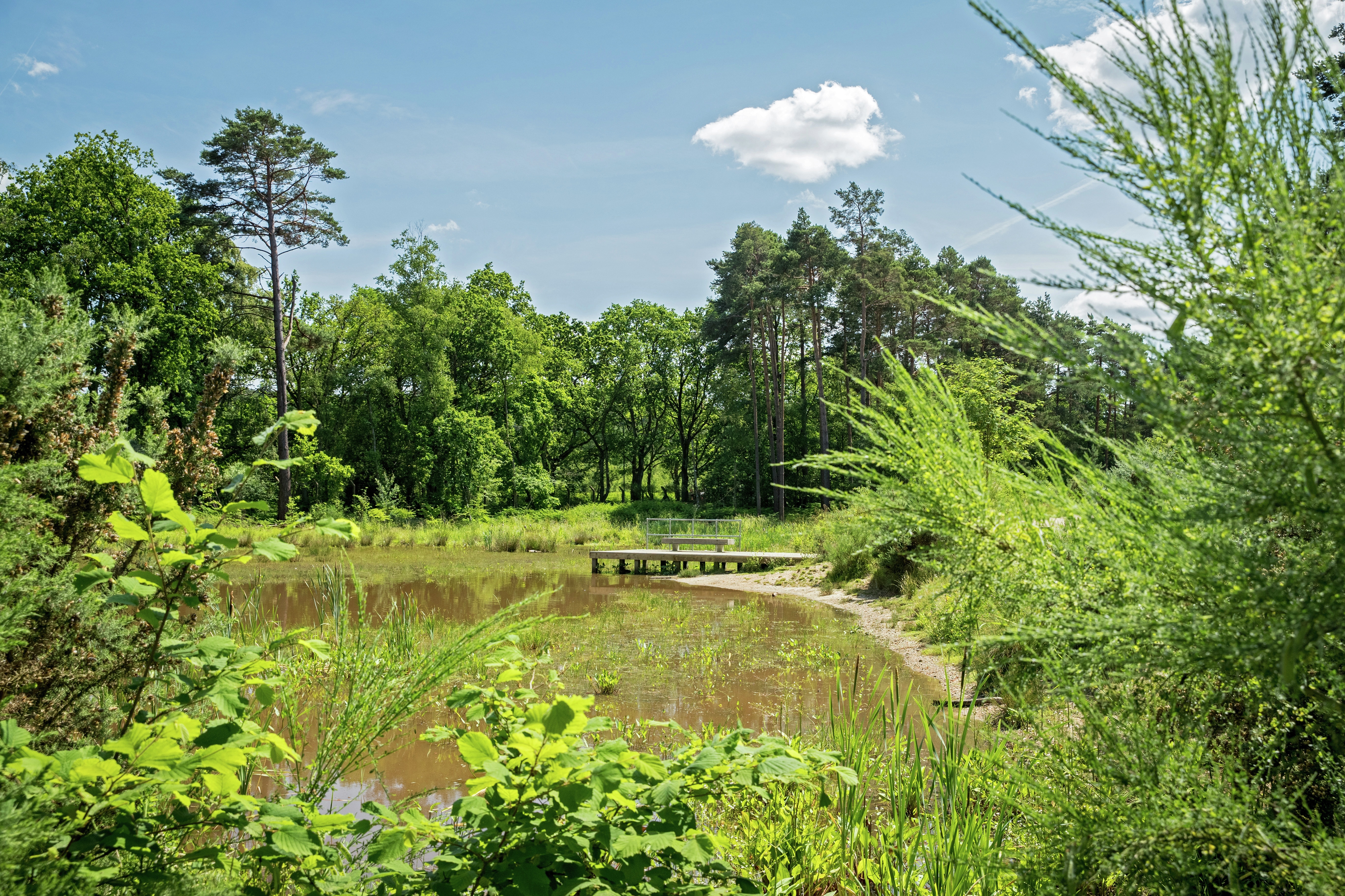 Cala at Buckler’s Park The Brook, Crowthorne Homes In Berkshire