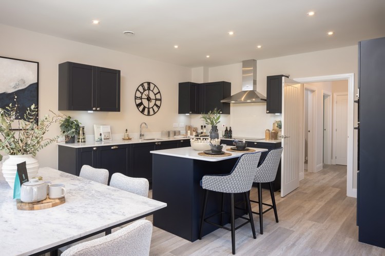 The Rowan at Worting Park. New homes for sale in Basingstoke
