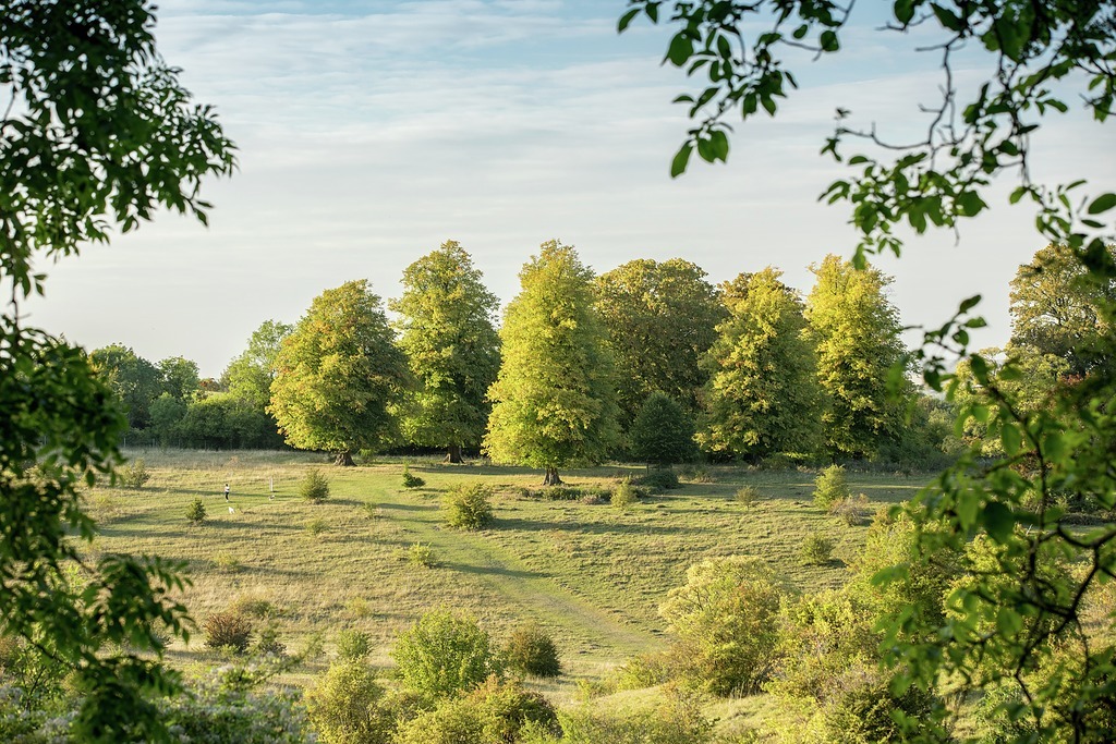 Roman Park, Tring New Homes in Hertfordshire Cala Homes