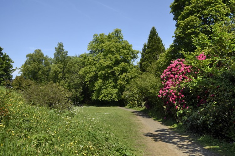 Almondell and Calderwood Country Park | New homes for sale in East Calder
