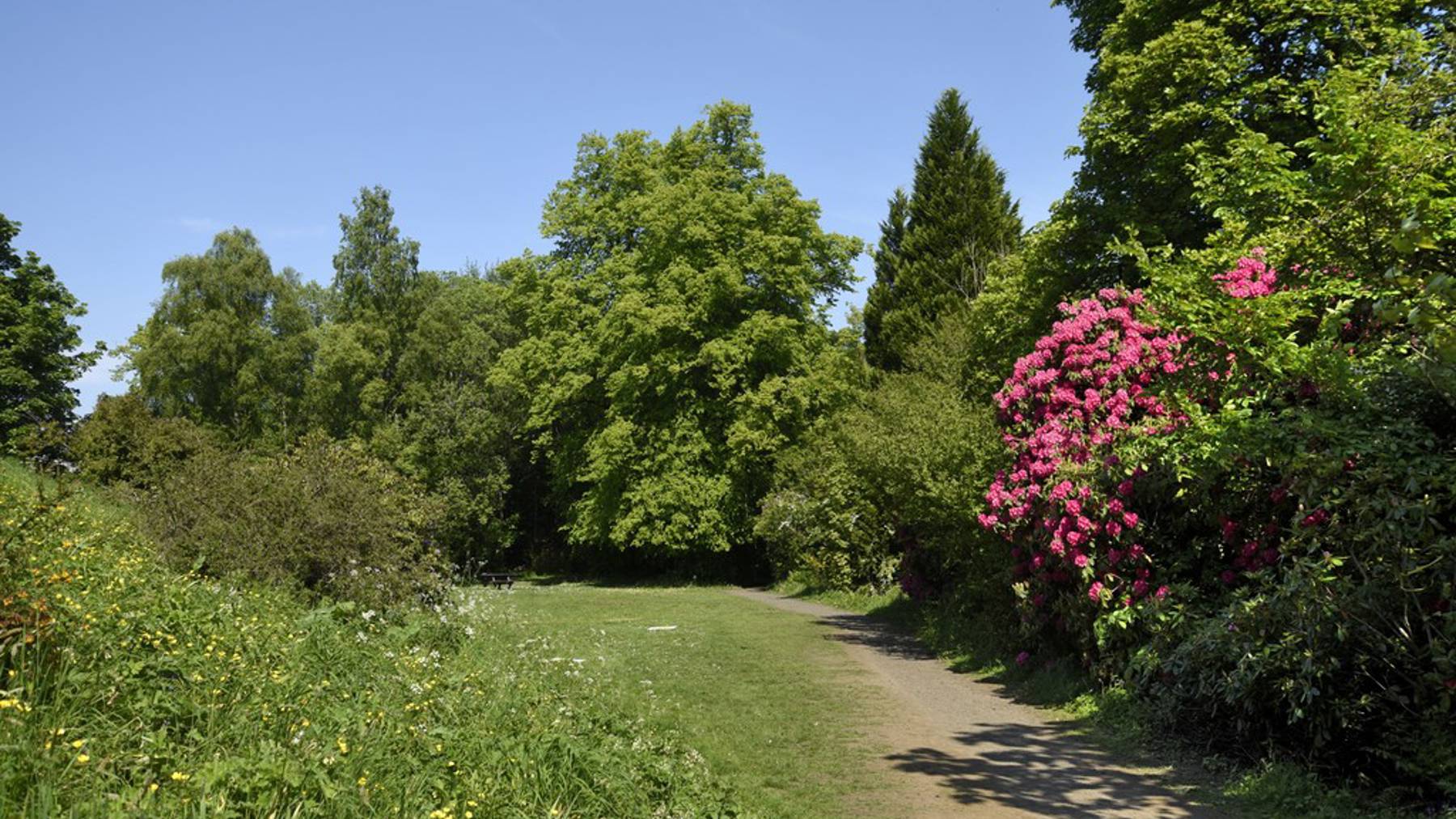 Almondell and Calderwood Country Park | New homes for sale in East Calder