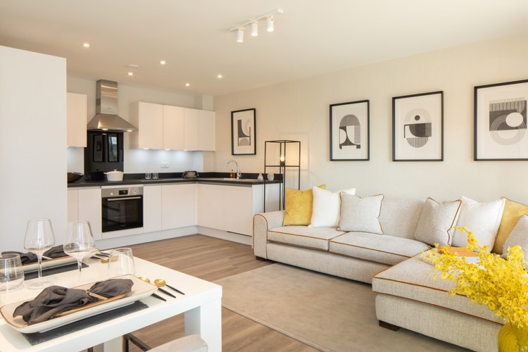 New build homes for sale
