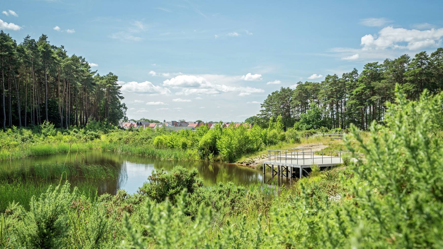 Crowthorne Local Area