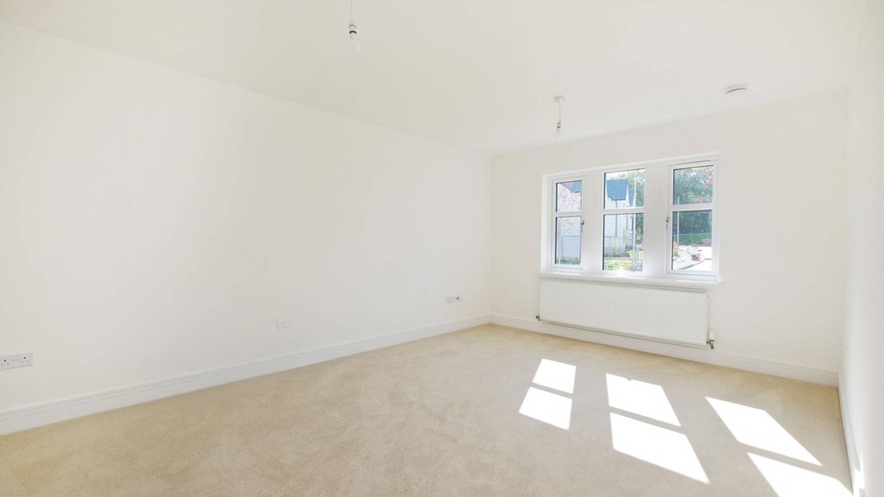 Sun drenched living room 