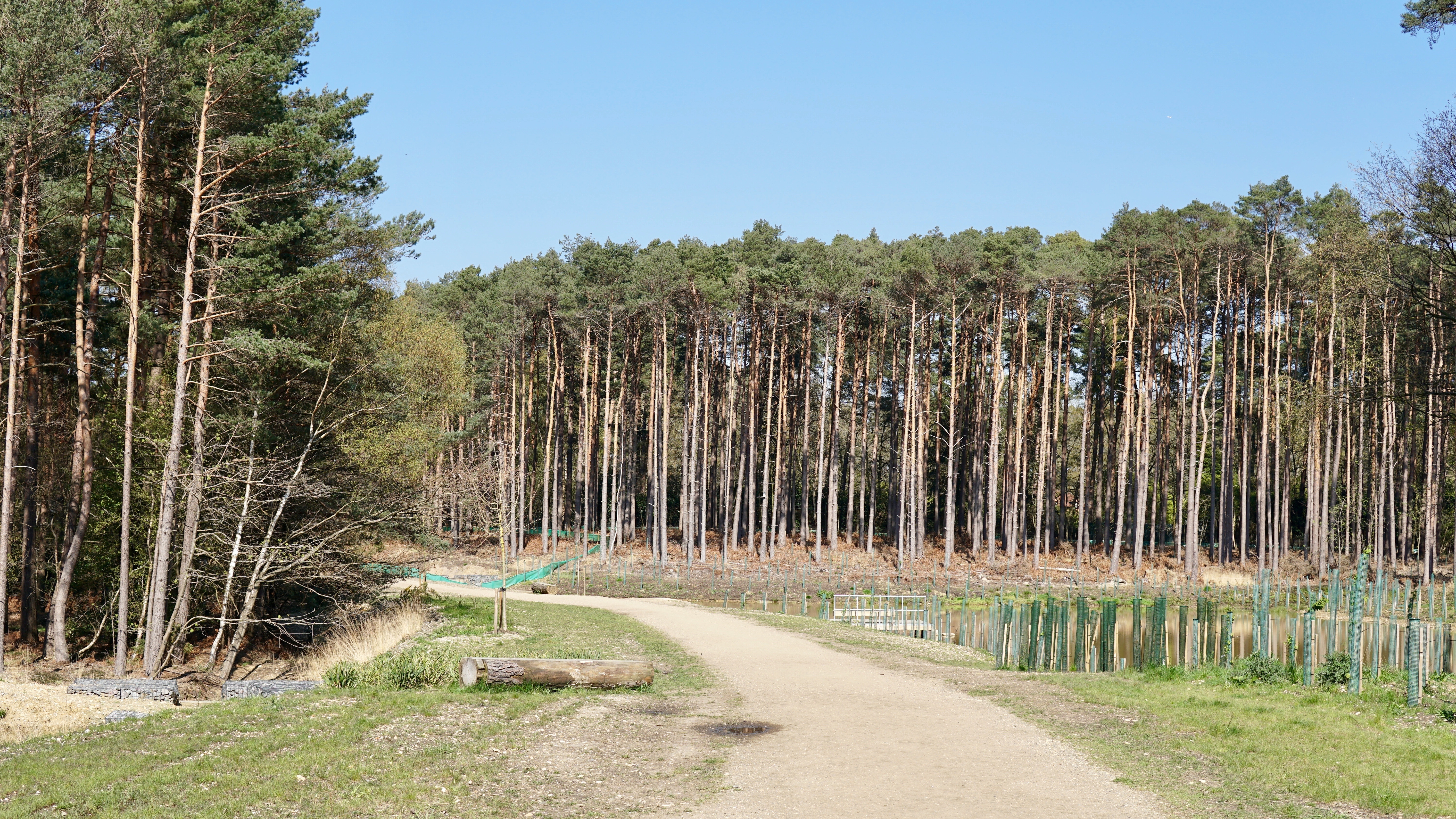 Location at Cala at Buckler's Park, Crowthorne