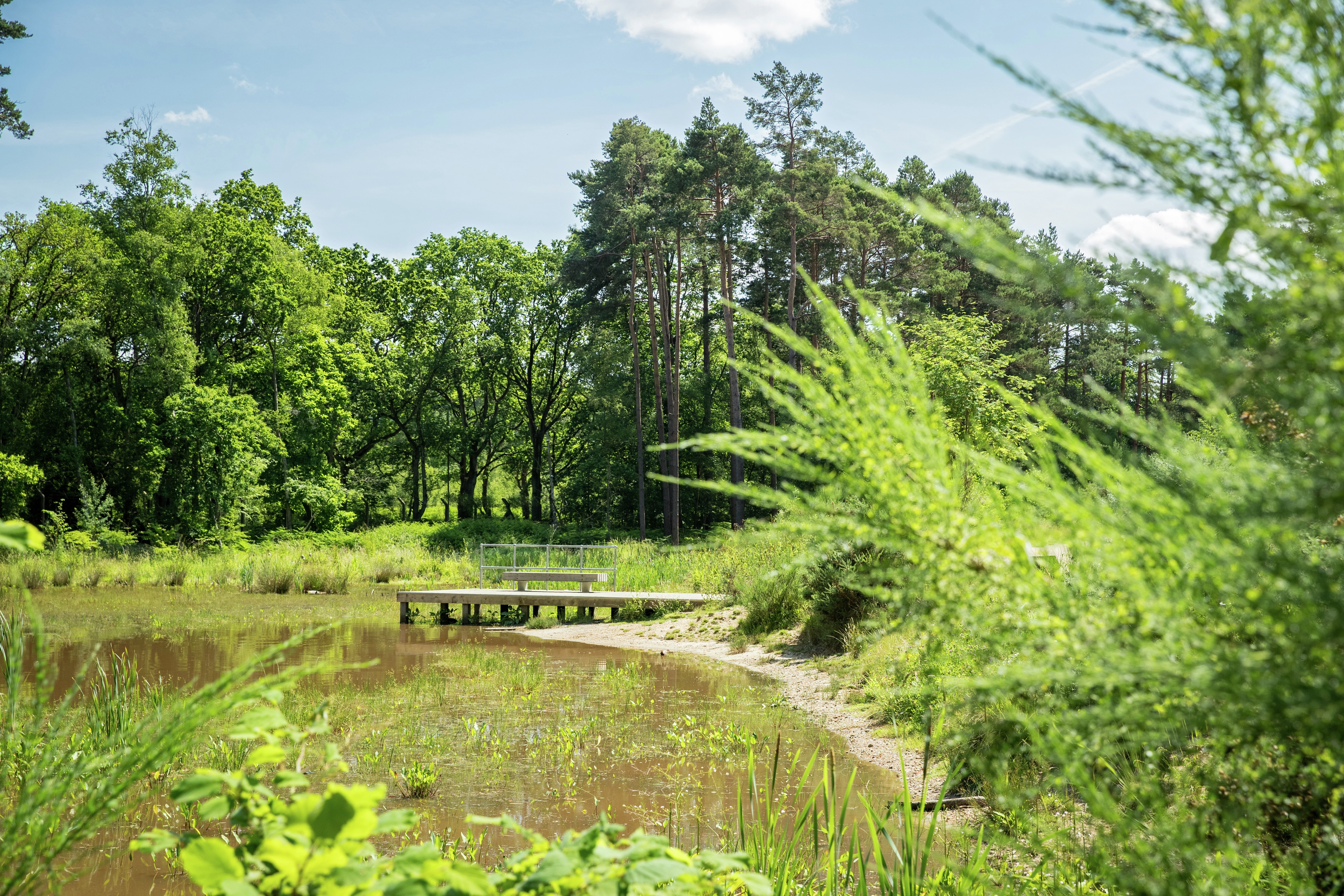 Cala at Buckler’s Park The Brook, Crowthorne Homes In Berkshire