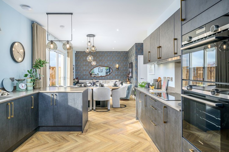 5 bedroom showhome | open plan studio-style kitchen, dining, and family area