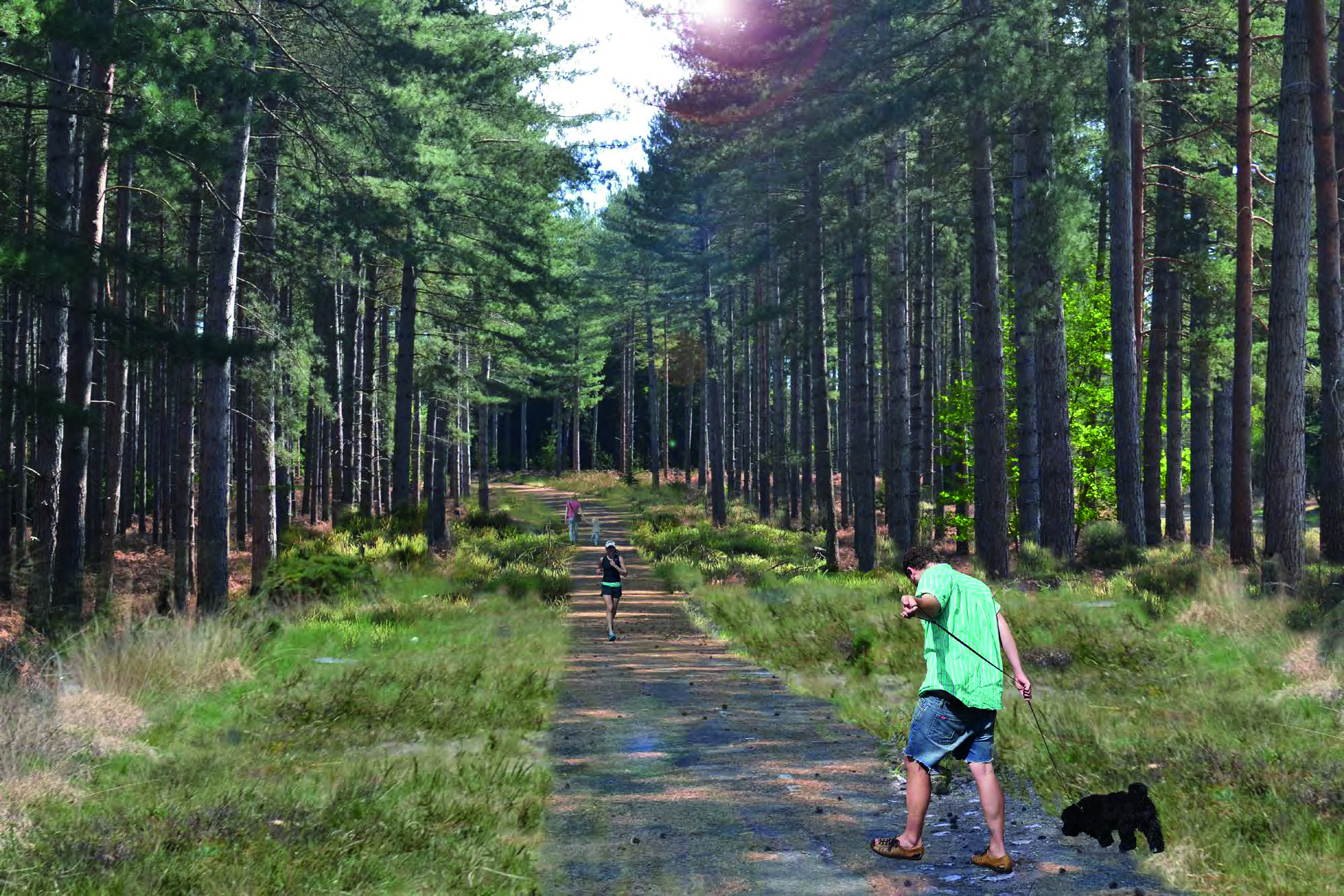 Cala at Buckler’s Park, Crowthorne Homes In Berkshire Cala Homes