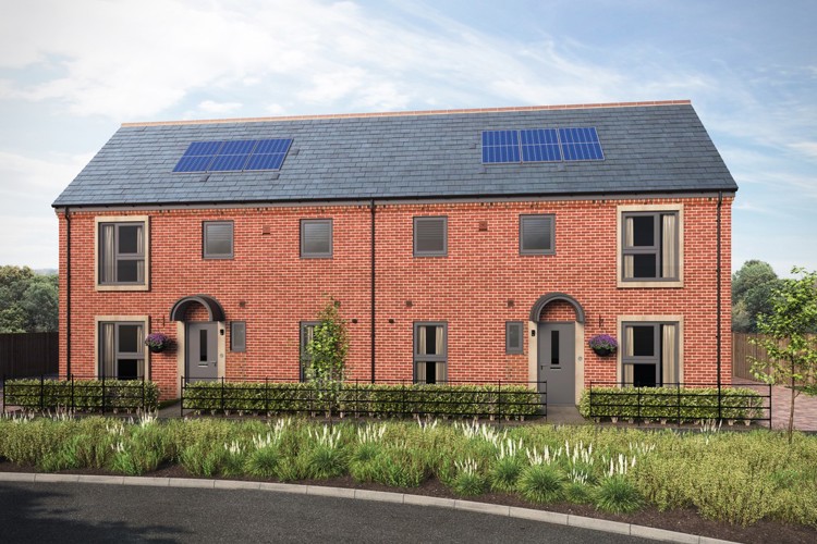 Oakwood Park | The Cedar CGI