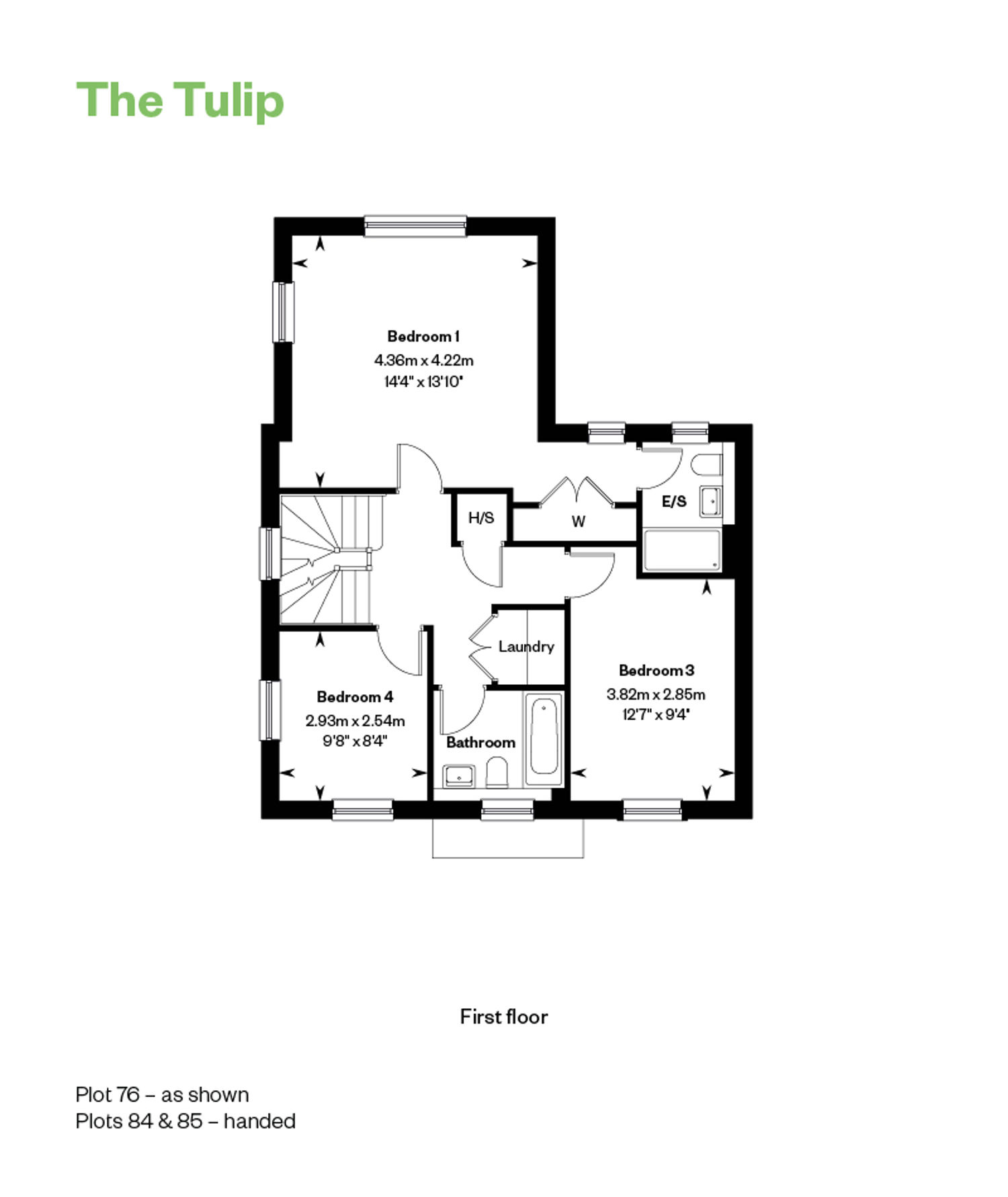 5381187 The Tulip FF