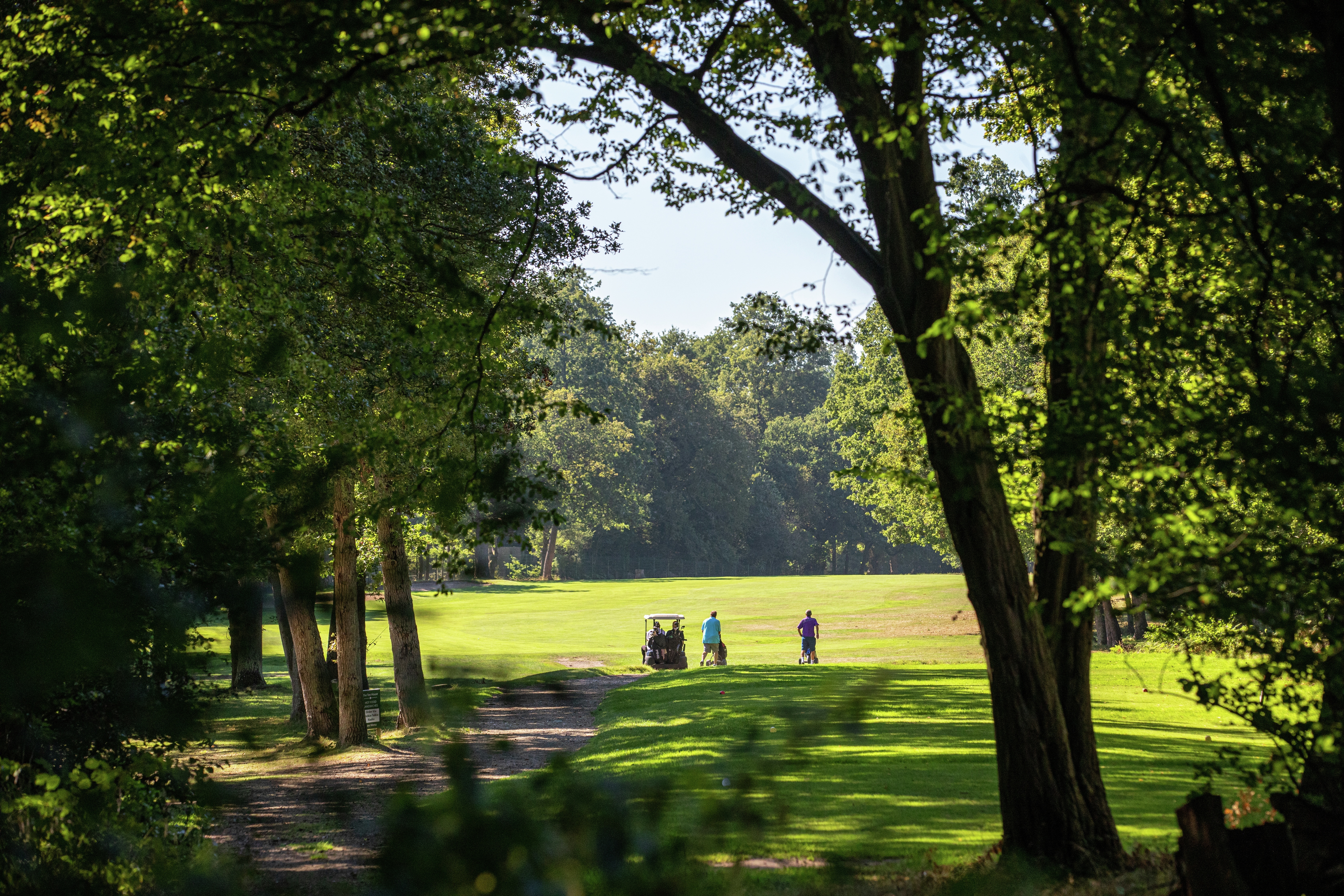 Treetops Apartments & houses for sale in Oxshott Surrey Cala Homes