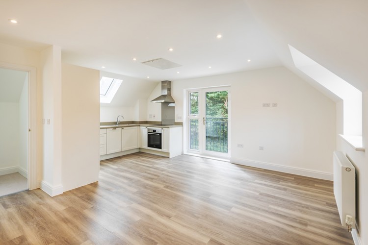 The Birch | Kitchen/living room