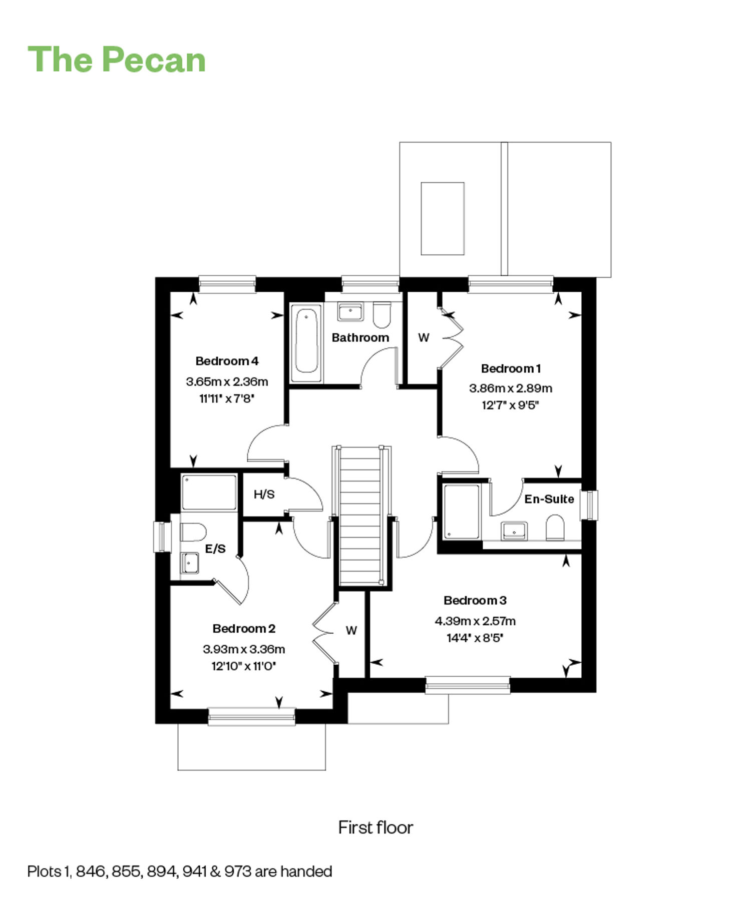 5487572 The Pecan FF Web 800X1200