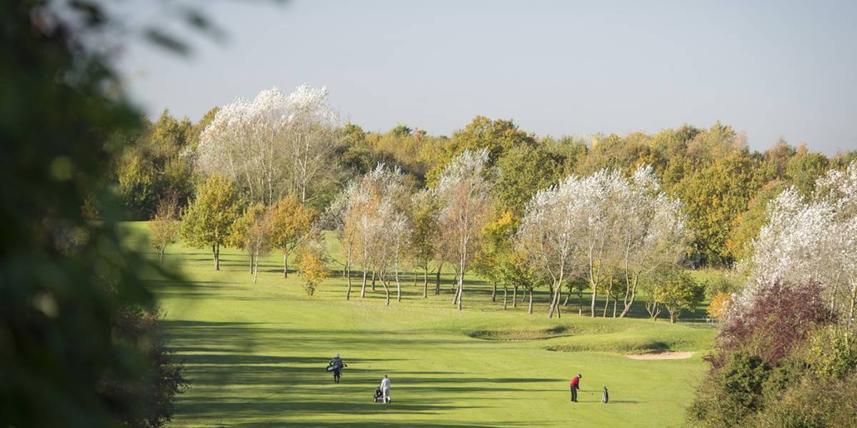 Ingatestone Grove, Ingatestone | Homes to buy in Essex | Cala Homes