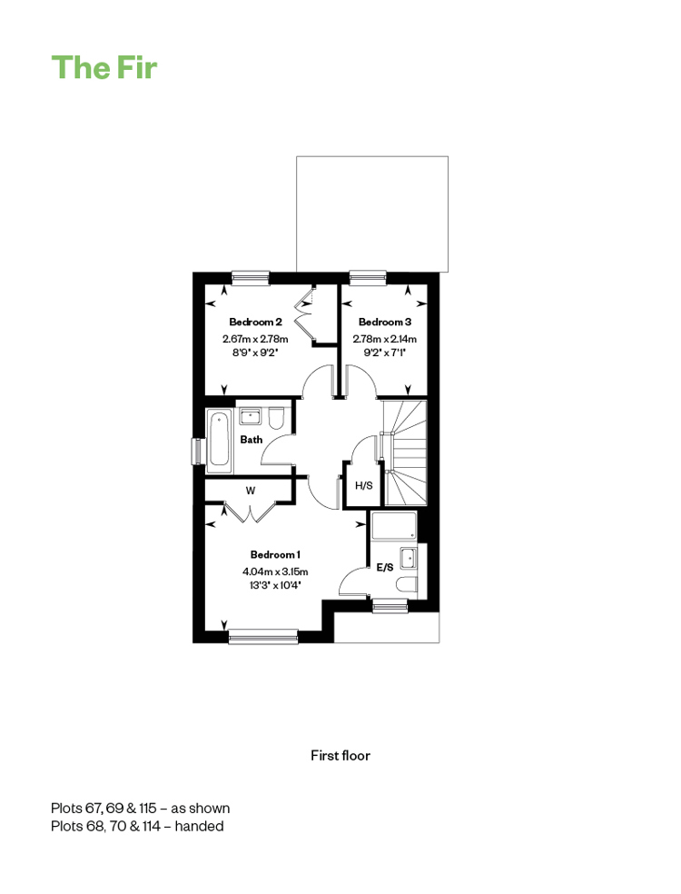 5381187 The Fir FF