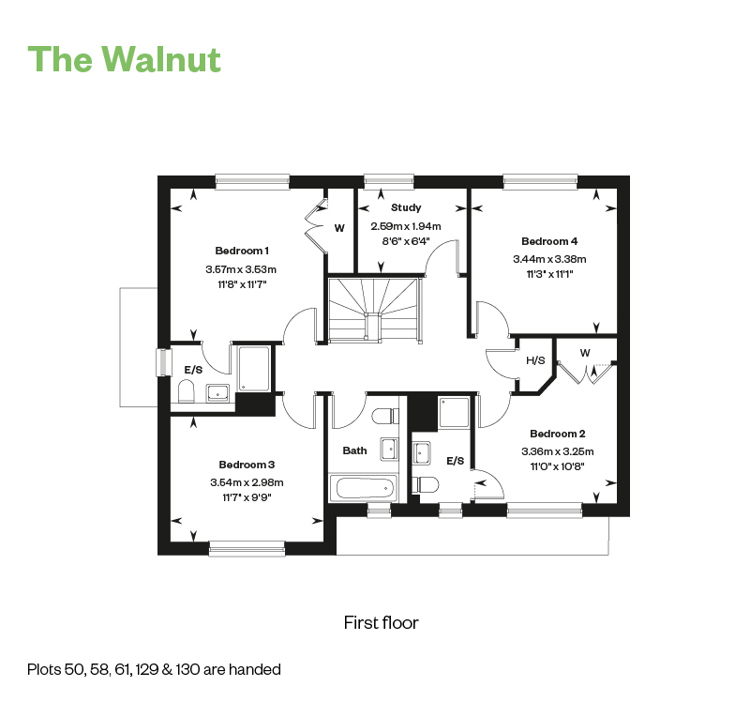 Enton Meadows The Walnut FF