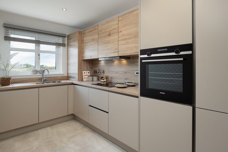 The Adam | Kitchen