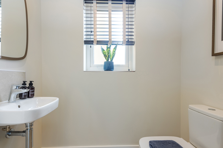 The Pinewood Downstairs WC
