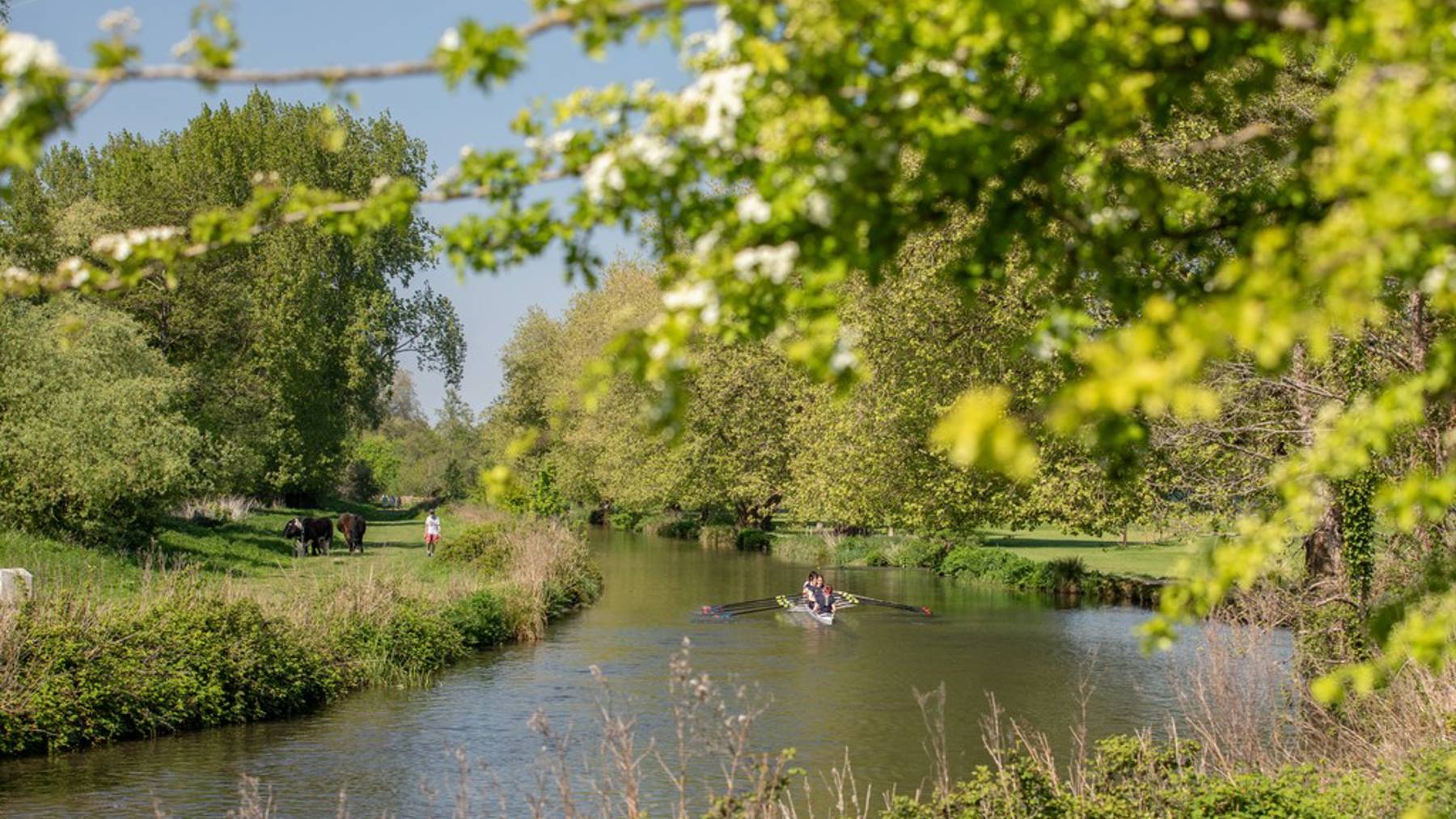 Kings Barton - Winchester local area