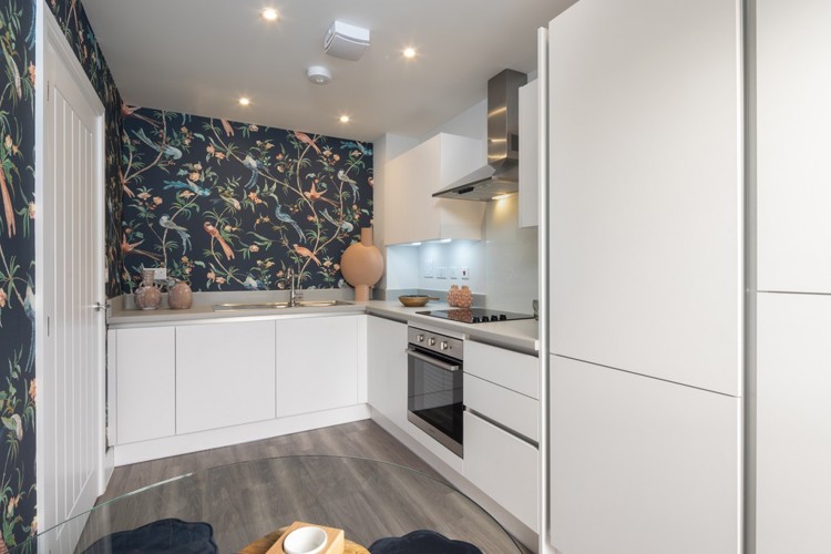 The Alder | Kitchen