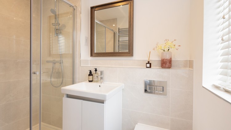 The Fir at Worting Park. Houses for sale in Basingstoke