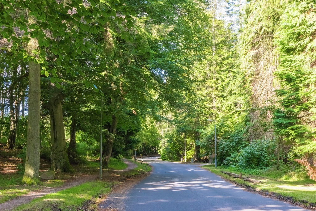 Craibstone Estate New Homes In Aberdeen Cala Homes