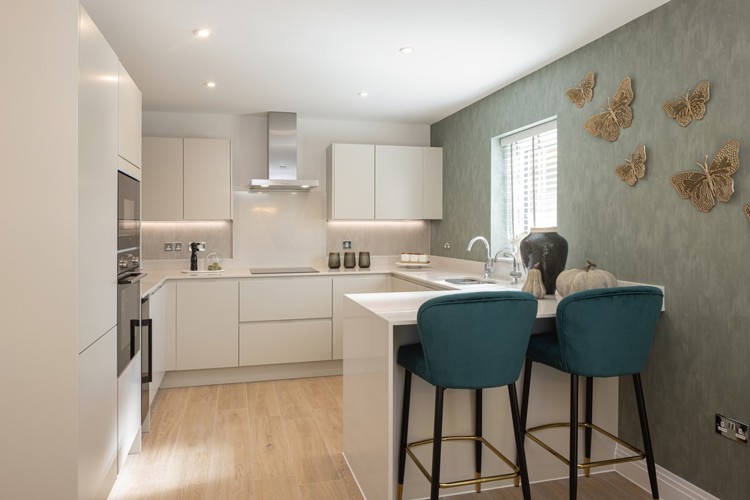 New build homes in Ascot