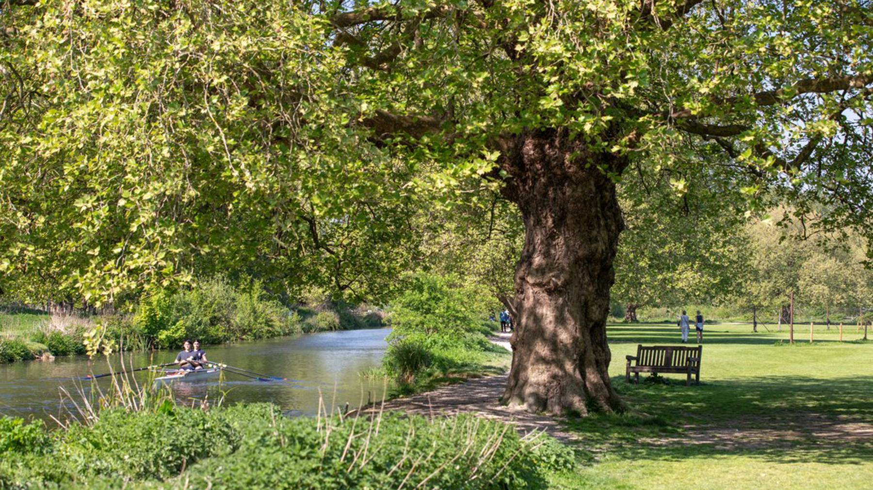 Kings Barton - Winchester local area