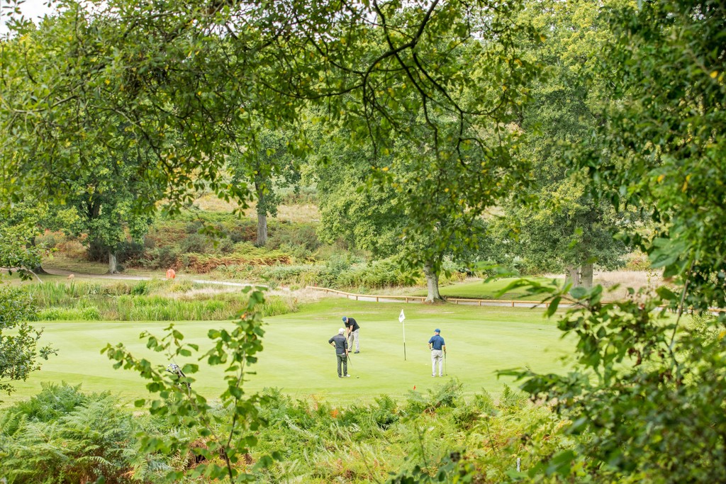 Local area photography in Wimborne and surrounding areas