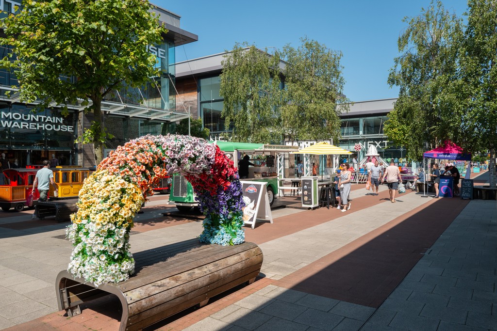 The Willows Local Area