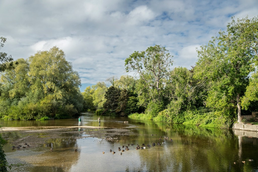 Knightwood Chase in Fordingbridge, New Forest