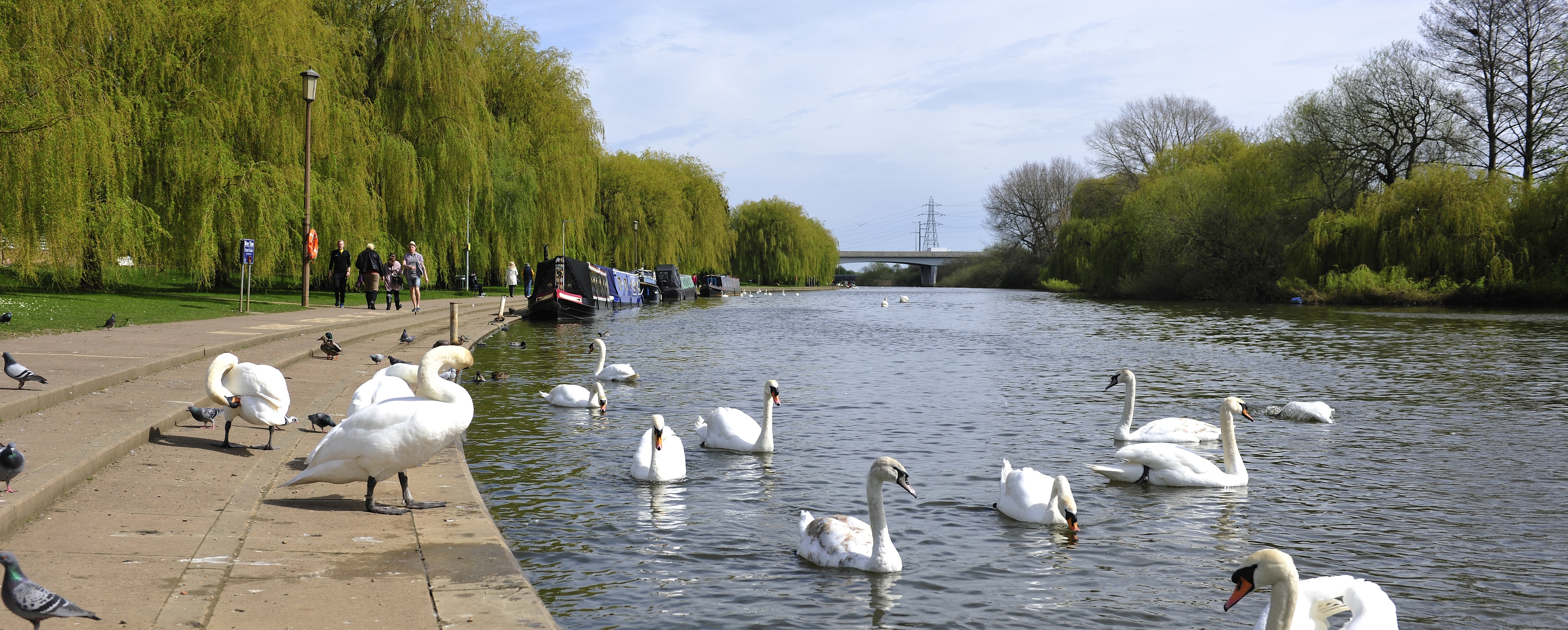 Availability & Prices Hampton Lakes, Peterborough