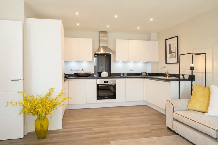New build homes for sale